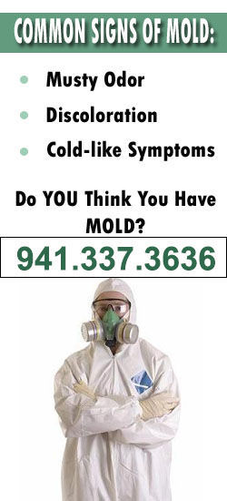 Sarasota Mold Remediation Contractor